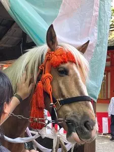 糺ノ森