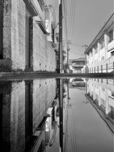 善福寺川緑地