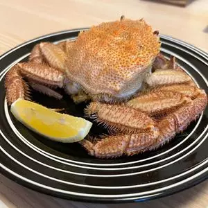 枝幸温泉　ホテル　ニュー幸林