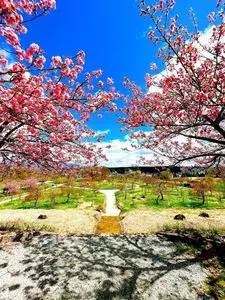 真室川公園
