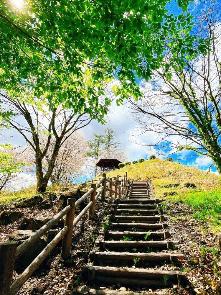 猫なぎ。さんが投稿した真室川公園に関する口コミの画像