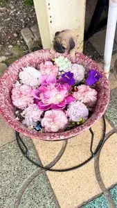 さきたま風月庵 行田店