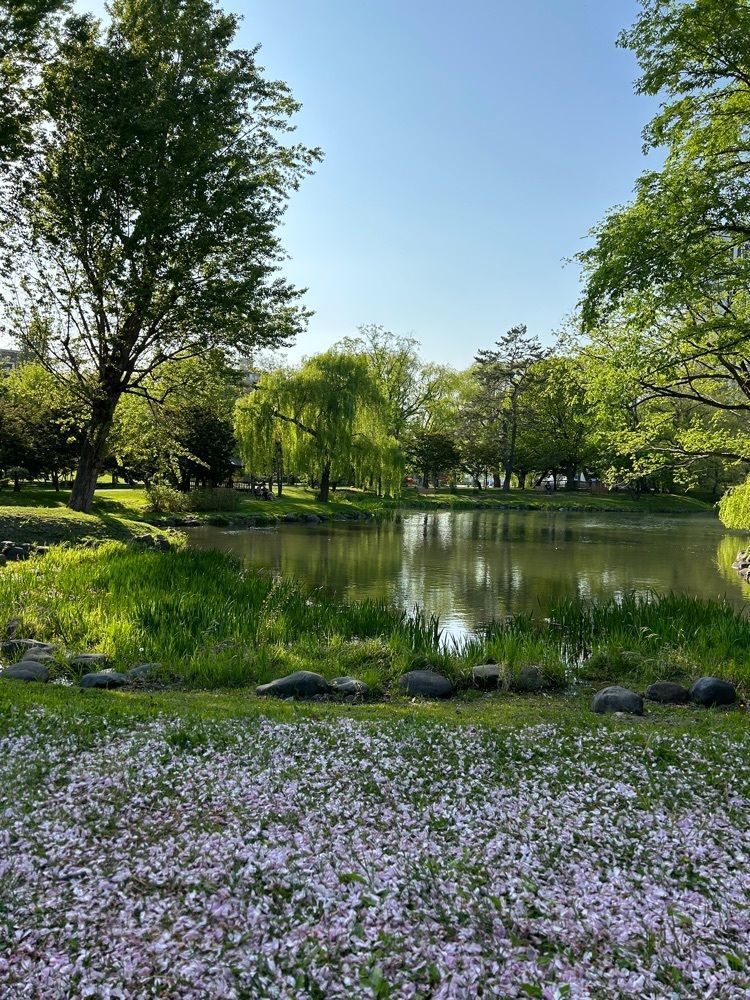 mocomocoさんが投稿した中島公園に関する口コミの画像