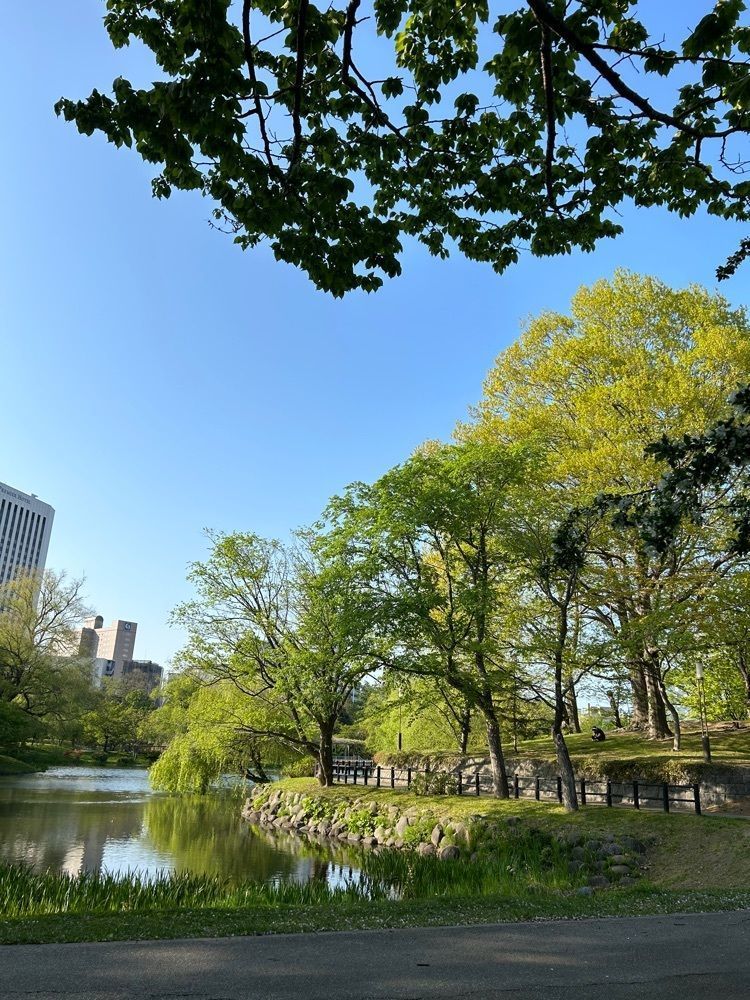 mocomocoさんが投稿した中島公園に関する口コミの画像