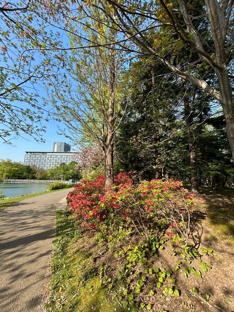 mocomocoさんが投稿した中島公園に関する口コミの画像