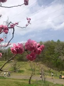 平岡公園