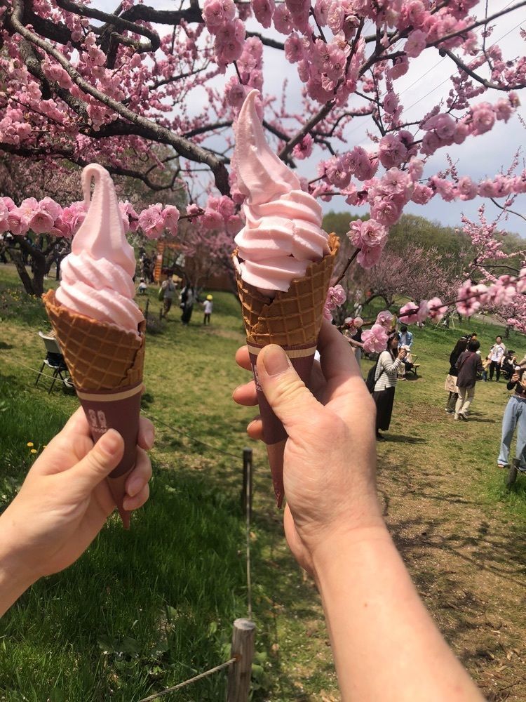happy_walkingさんが投稿した平岡公園に関する口コミの画像