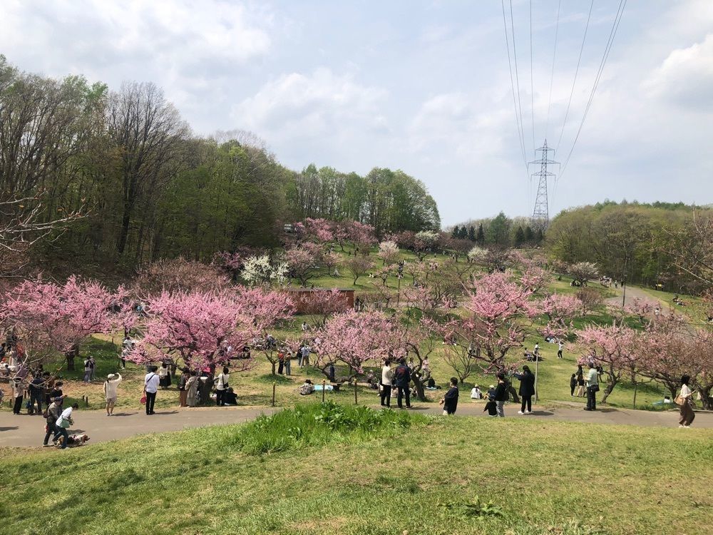 happy_walkingさんが投稿した平岡公園に関する口コミの画像