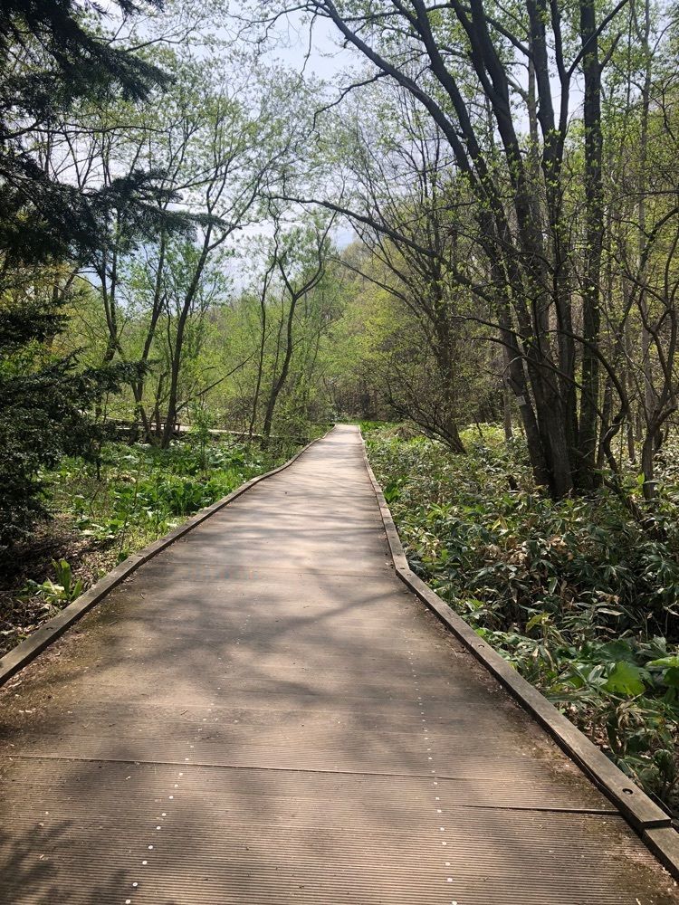 happy_walkingさんが投稿した平岡公園に関する口コミの画像