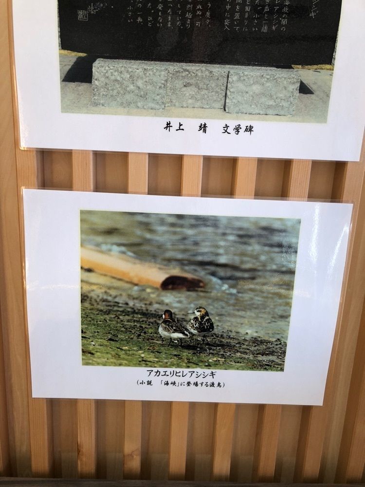 それなはとけさんが投稿した下風呂温泉に関する口コミの画像