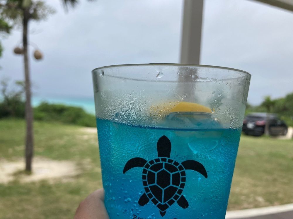 saa1010さんが投稿したブルータートル（Blue Turtle）に関する口コミの画像