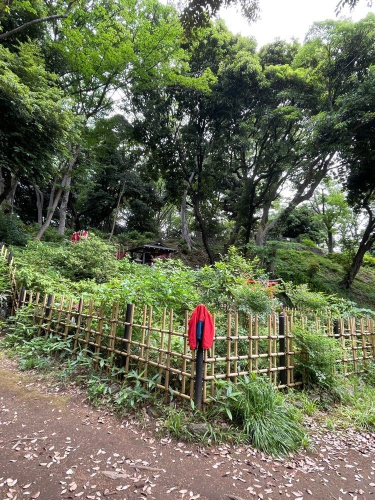志保さんが投稿した円山随身稲荷大明神に関する口コミの画像