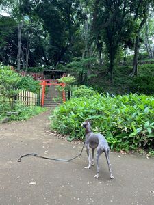 施設画像