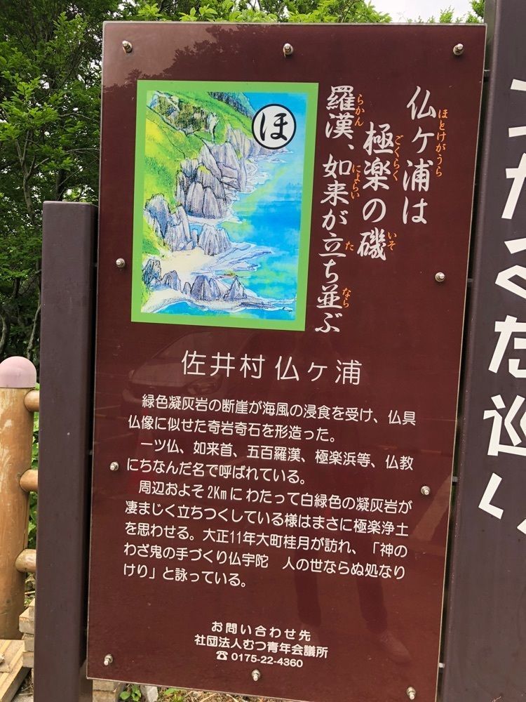 それなはとけさんが投稿した牛滝～仏ヶ浦観光船「夢の海中号」に関する口コミの画像