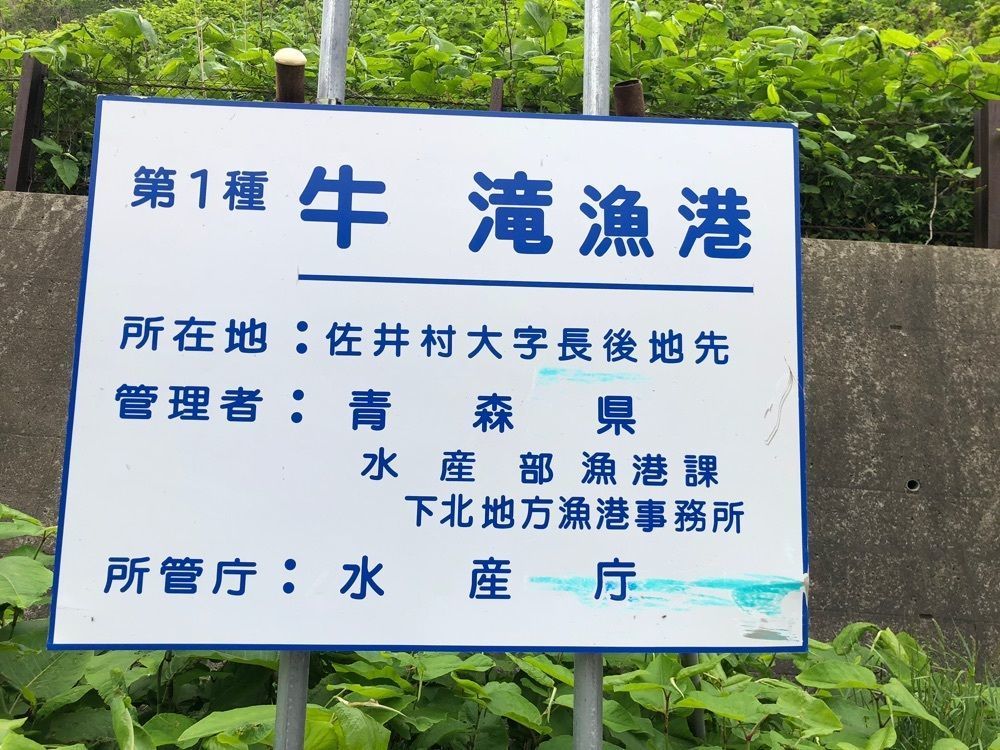 それなはとけさんが投稿した牛滝～仏ヶ浦観光船「夢の海中号」に関する口コミの画像