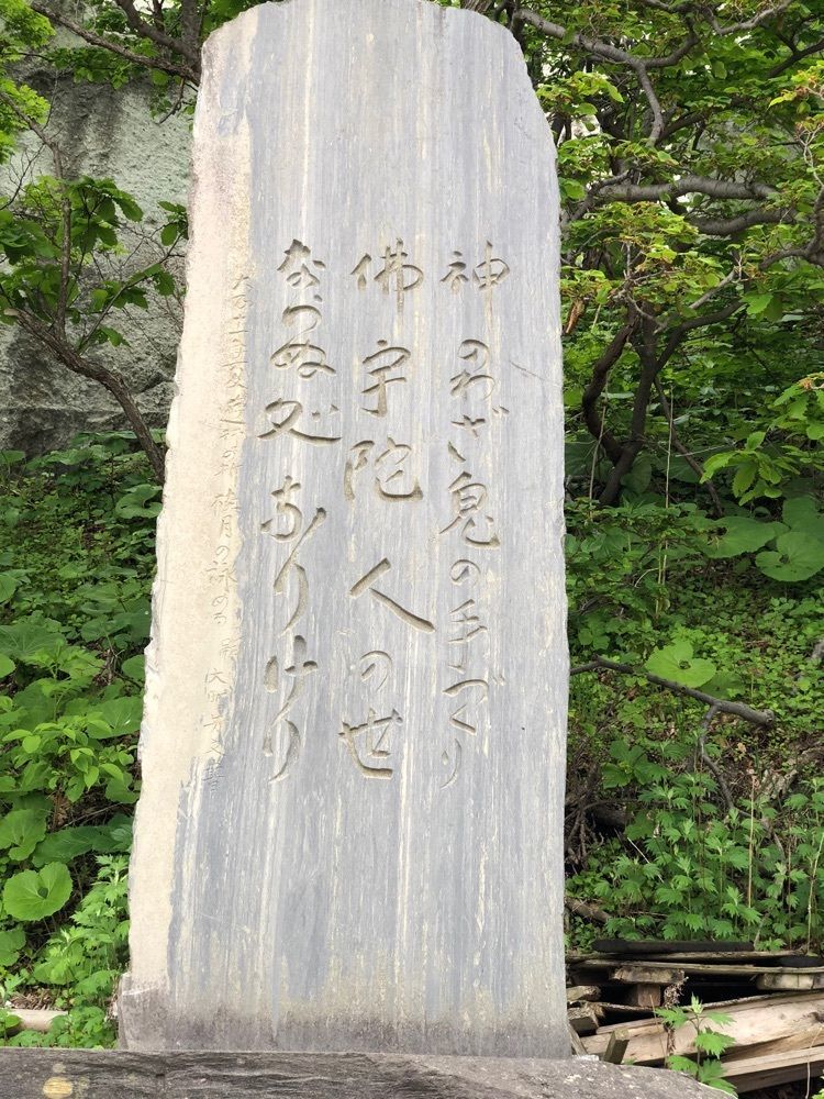 それなはとけさんが投稿した牛滝～仏ヶ浦観光船「夢の海中号」に関する口コミの画像