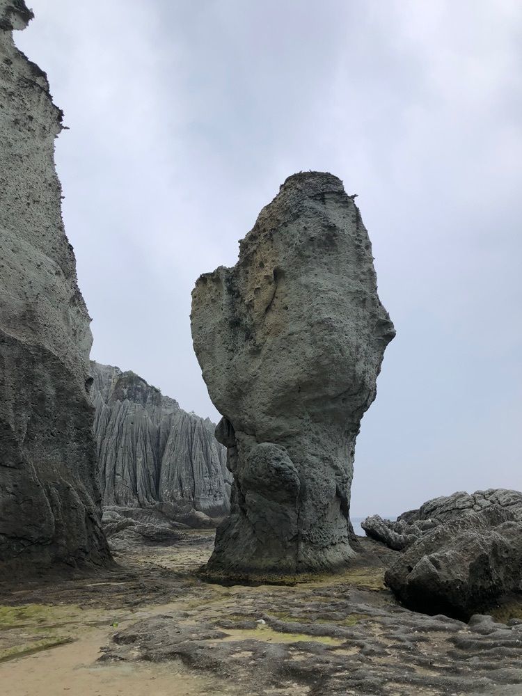 それなはとけさんが投稿した牛滝～仏ヶ浦観光船「夢の海中号」に関する口コミの画像