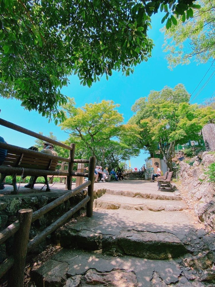 鉄道こまちさんが投稿した金華山ロープウェーに関する口コミの画像