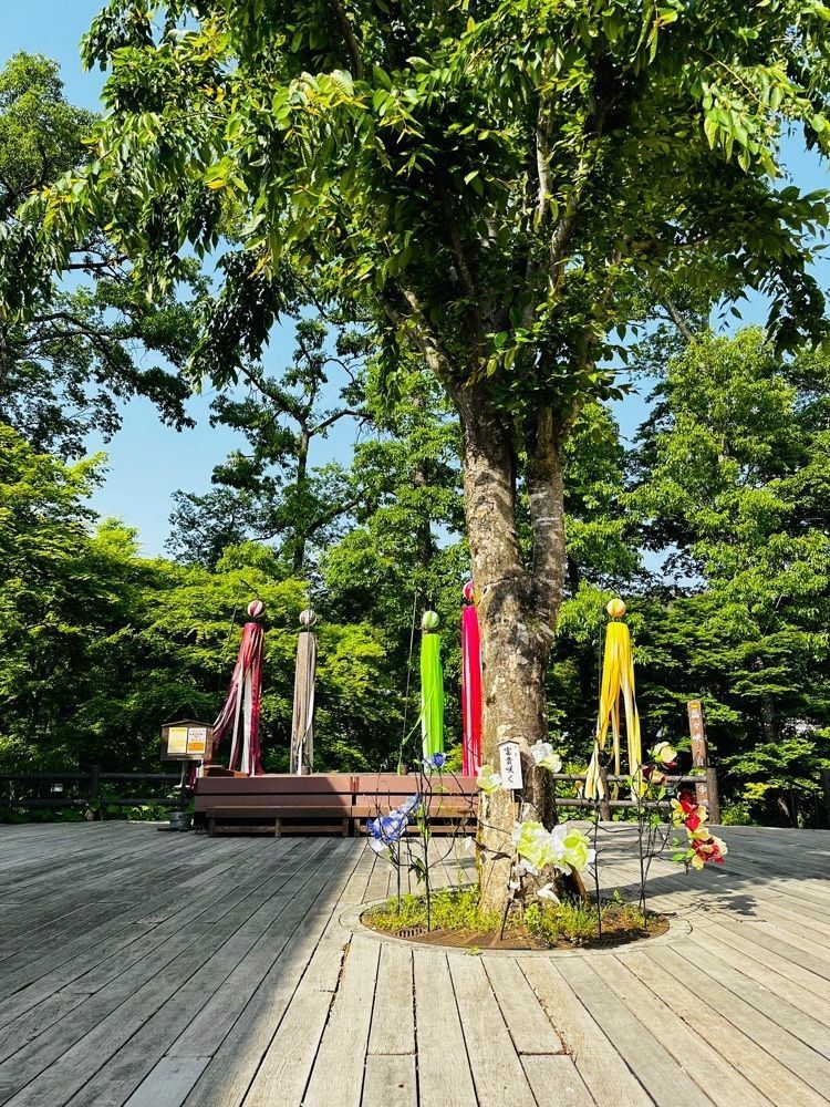 かめ_メグミさんが投稿したレストラン HACHI（ハチ【旧店名】cafe HACHI）に関する口コミの画像