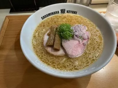 Sagamihara 欅（ケヤキ）