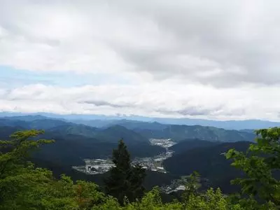 面ノ木原生林