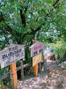金華山
