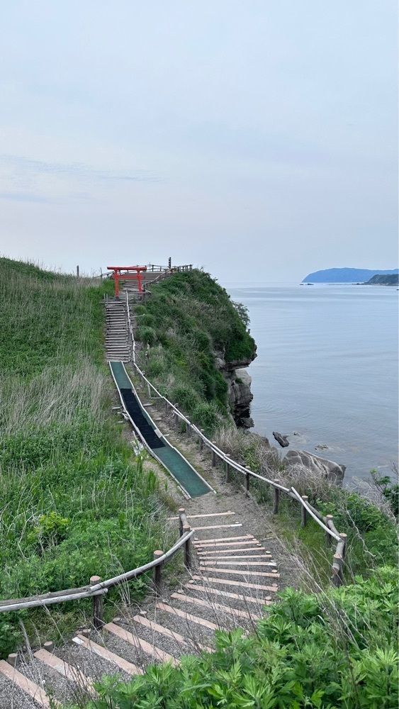 ぺたこ♡さんが投稿した関野鼻に関する口コミの画像