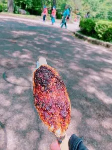 でんがく処 むらせ（名代 木の芽）