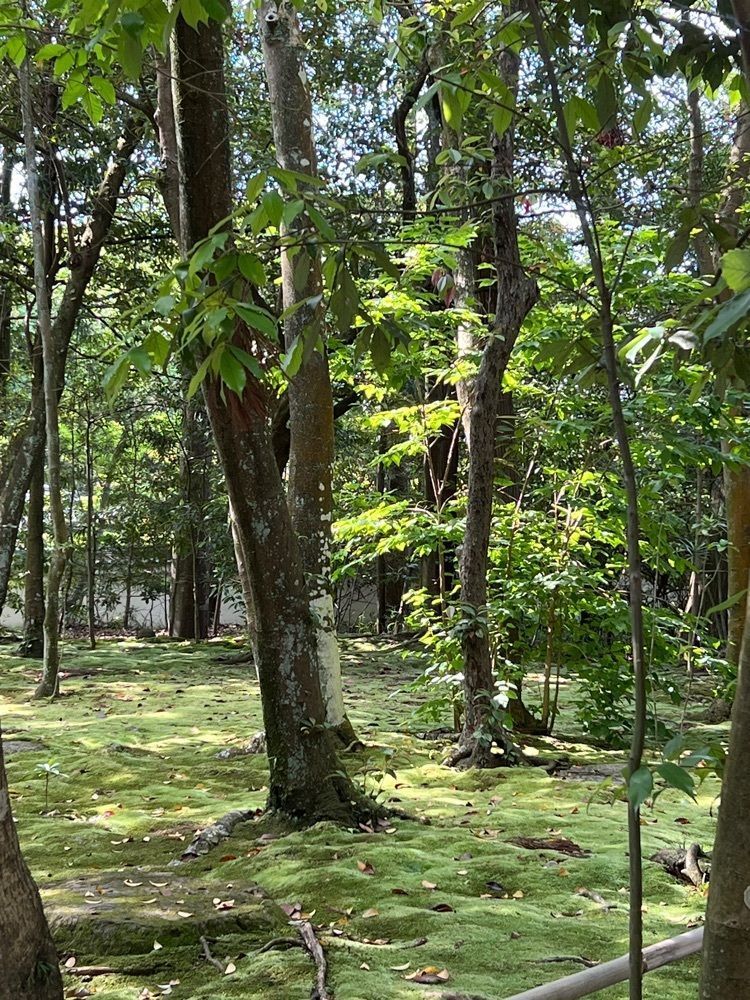 ステップさんが投稿した秋篠寺本堂に関する口コミの画像