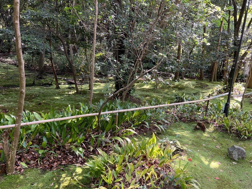 ステップさんが投稿した秋篠寺本堂に関する口コミの画像