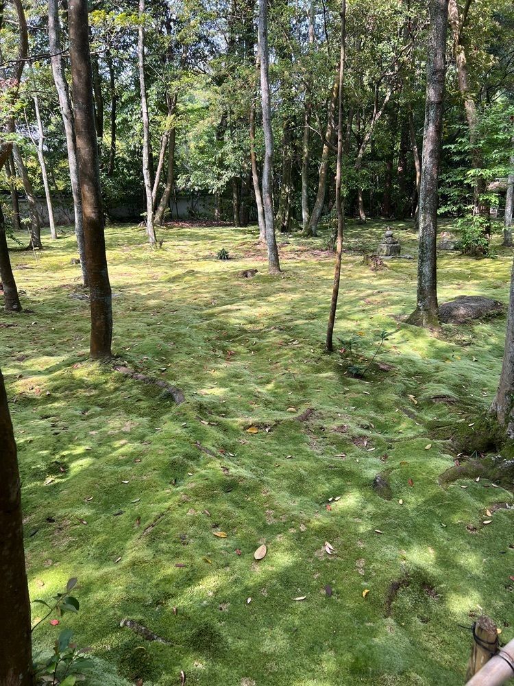 ステップさんが投稿した秋篠寺本堂に関する口コミの画像