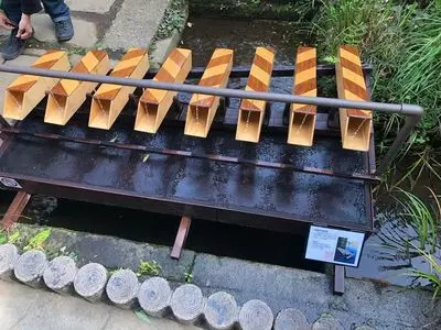 お鷹の道・真姿の池湧水群