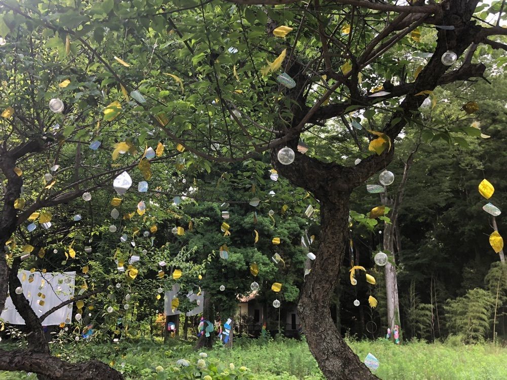 それなはとけさんが投稿したお鷹の道・真姿の池湧水群に関する口コミの画像