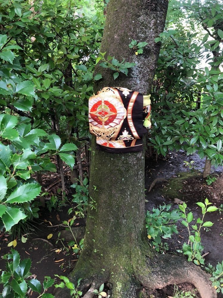それなはとけさんが投稿したお鷹の道・真姿の池湧水群に関する口コミの画像