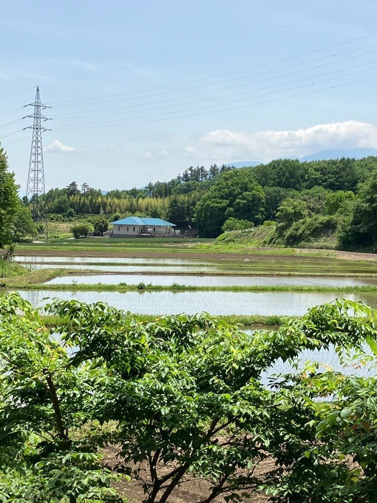 Nさんが投稿した田舎手打ちそば くろべえに関する口コミの画像