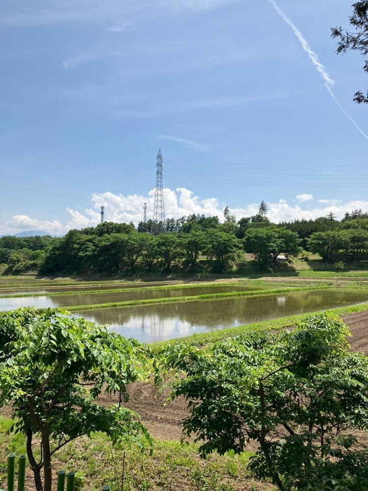 Nさんが投稿した田舎手打ちそば くろべえに関する口コミの画像