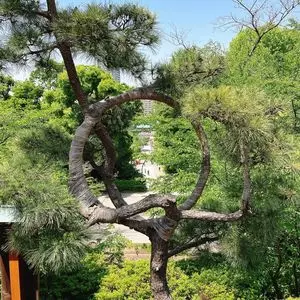 寛永寺清水観音堂