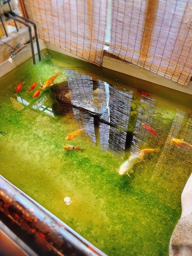 猫なぎ。さんが投稿した加登屋旅館に関する口コミの画像