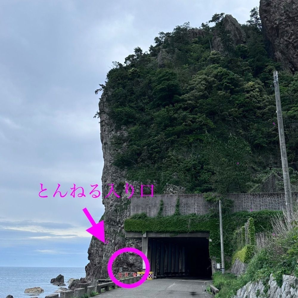 ぺたこ♡さんが投稿したせっぷんとんねるに関する口コミの画像