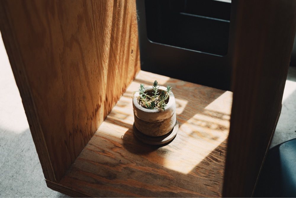 きゃっさーさんが投稿したシテン コーヒー（SHI-TEN coffee）に関する口コミの画像