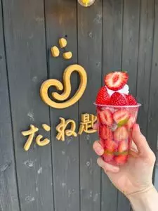 たね匙