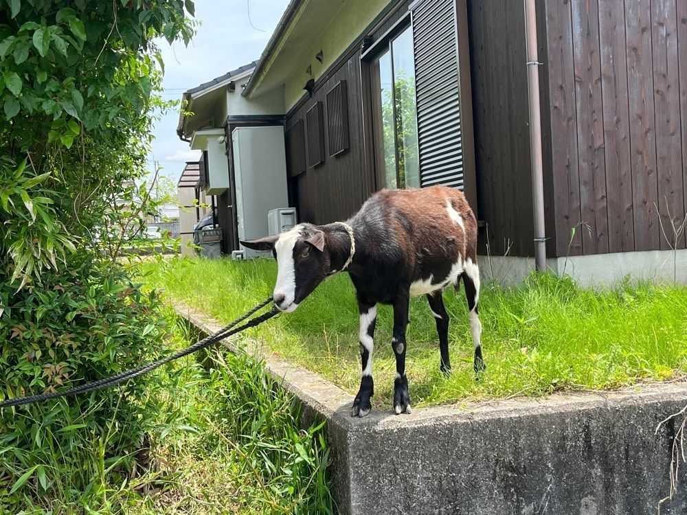 エリーチカさんが投稿したたね匙に関する口コミの画像