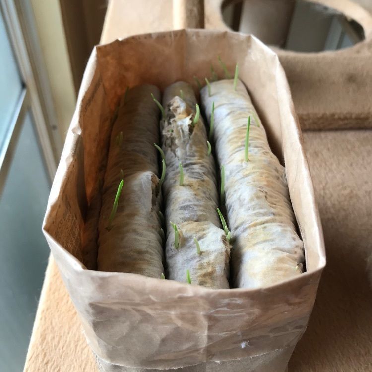 MICHIさんが投稿した無印良品 京王聖蹟桜ヶ丘に関する口コミの画像