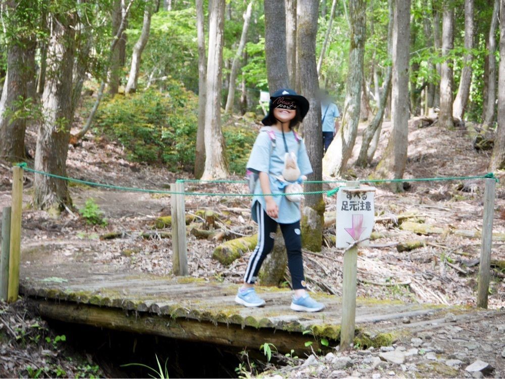 フラミンゴさんが投稿したちくさ高原スキー場に関する口コミの画像