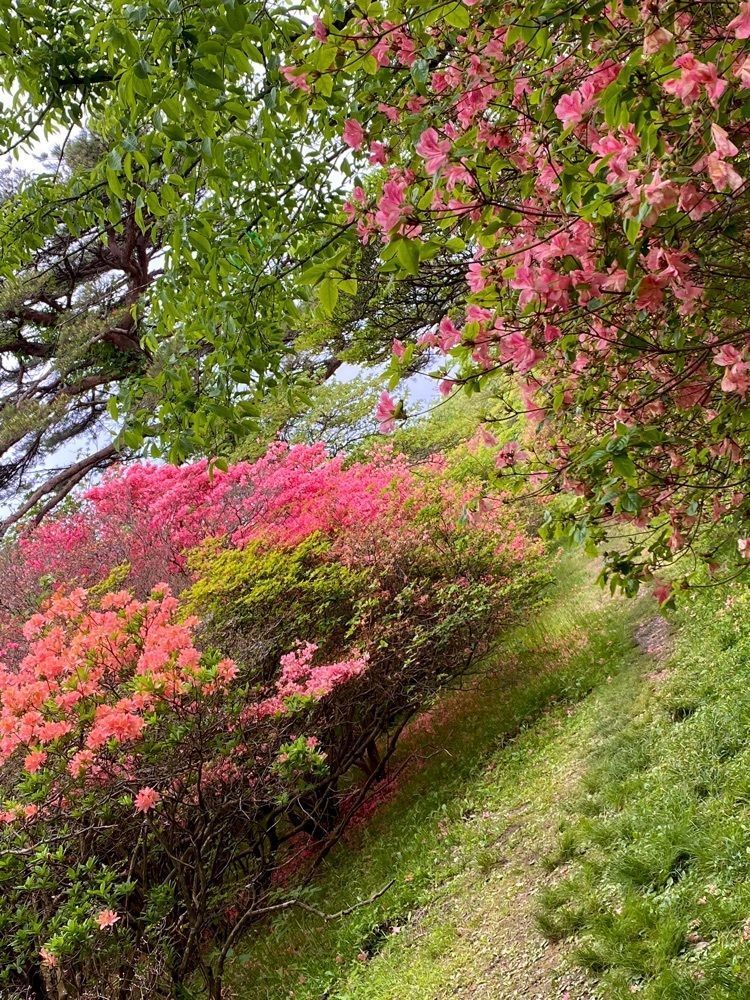 calm_gift_1030さんが投稿した栃木県立なす高原自然の家に関する口コミの画像