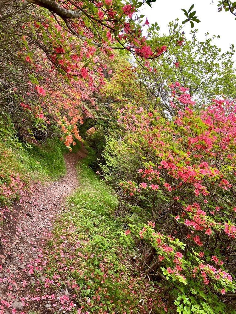 calm_gift_1030さんが投稿した栃木県立なす高原自然の家に関する口コミの画像