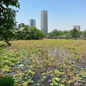 不忍池辯天堂