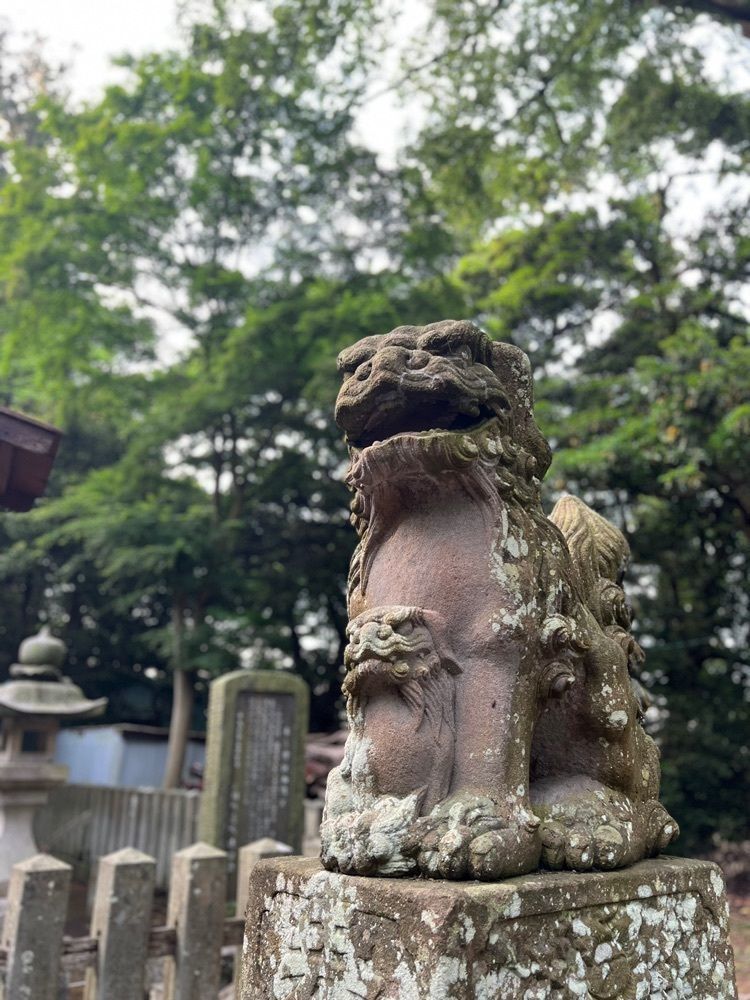 yuyuさんが投稿した三國神社に関する口コミの画像