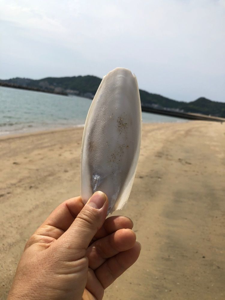 ディッパーさんが投稿した片男波海水浴場に関する口コミの画像