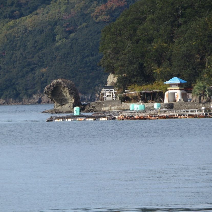 メリーさんが投稿したきさいや広場に関する口コミの画像